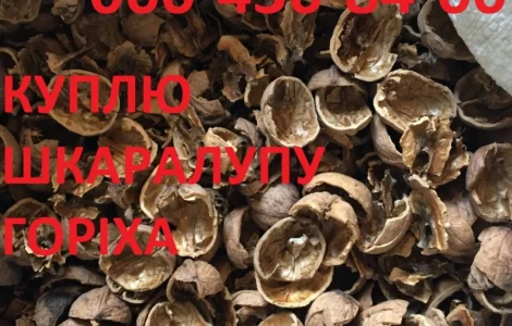 Куплю шкаралупу грецького горіха