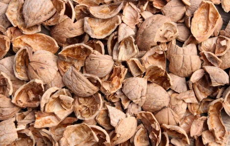 Продаю скорлупу грецкого ореха