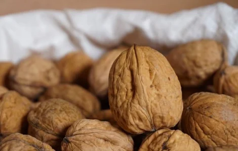 Куплю волоський горіх