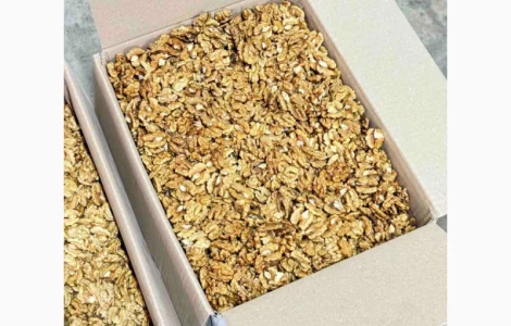 Куплю ядро грецького горіха