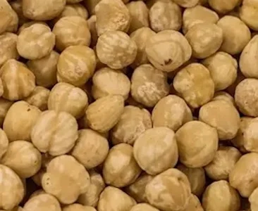 Куплю ядра фундука очищенные сушеные