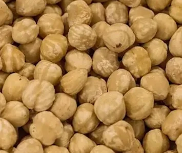 Закуповуємо ядра фундуку очищені сушені