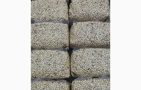 Продам фундук бланшерованый и жареный