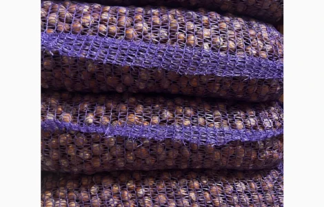 Куплю фундук в скорлупі різних сортів