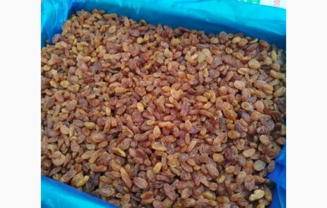 Ізюм Іран оптом та в роздріб