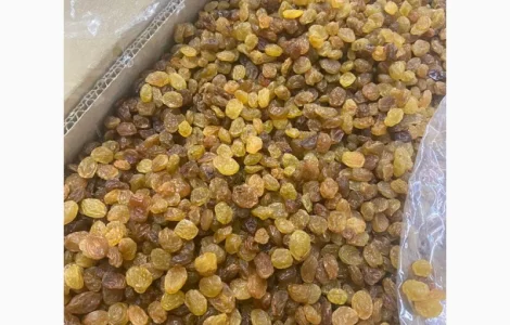 Світлий ізюм з Ірану – висока якість