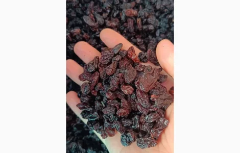 Изюм Узбекистан Темный