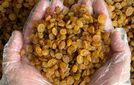 Солодка родзинка без кісточок