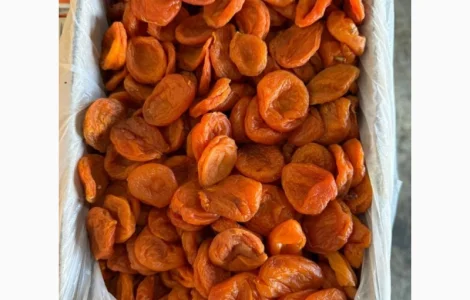 Курага з Узбекистану - висока якість