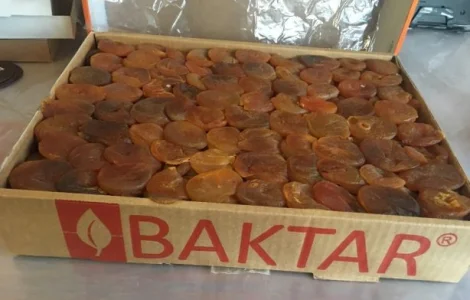 Курага Baktar 6