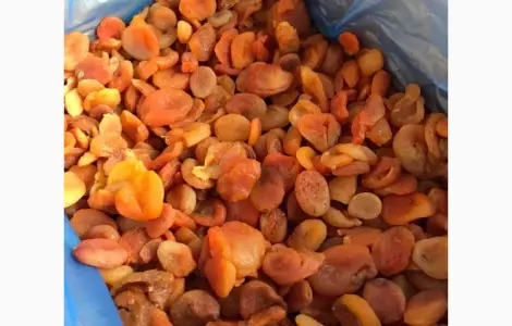 Продам курагу