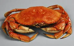 Хітозан 99.5%