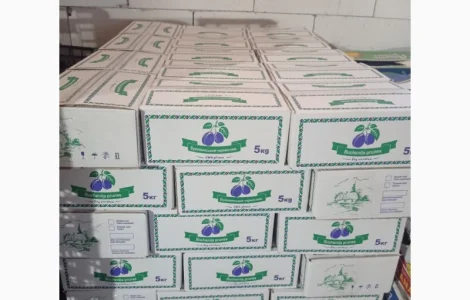 В'ялений чернослив без кісточок