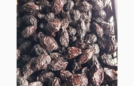 Пропонується чорнослив сорту 'Станлей'