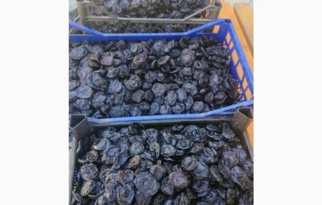 Пропонується чорнослив без кісточки