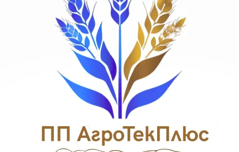 Куплю свиноматок срочно