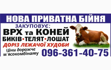 Куплю ВРХ та коні на м'ясо та тримання ДОРОГО