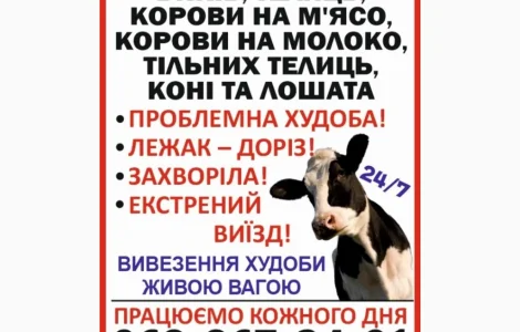 Заготівля врх та коней