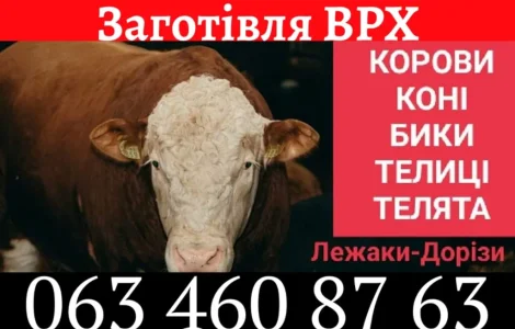 Закупівля ВРХ