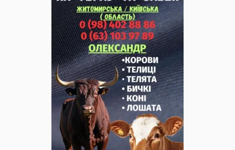 Закупівля врх