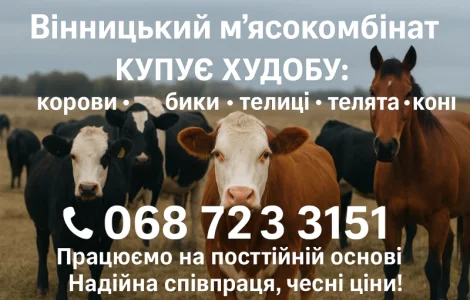 Куплю худобу по всій Україні