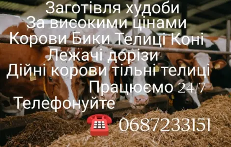 Покупка худобы дорого