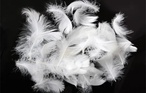 Купуємо пір'я подушки перини