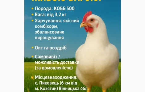 Продам бройлерів живою вагою