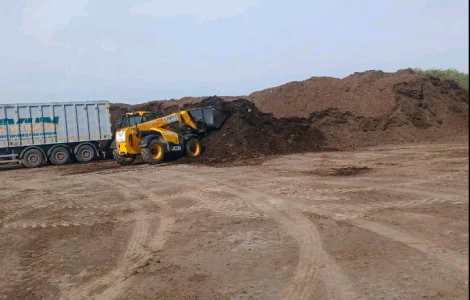 Гній Курячий