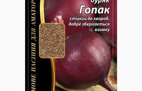 Буряк 'Гопак' Агромаксі – насіння для вашого врожаю