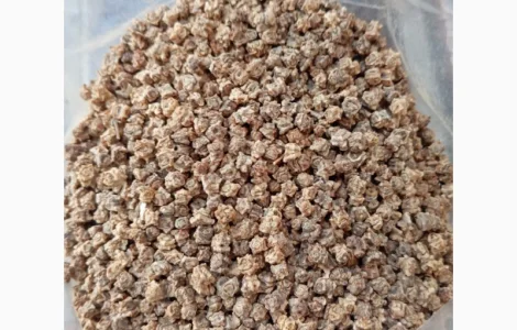 Семена кормовой свеклы различных сортов