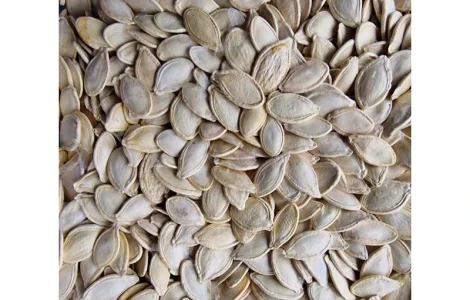 Продам насіння гарбуза/гарбузове насіння