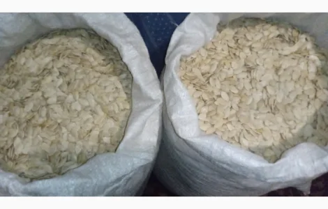 Насіння гарбуза сорту Україньский Багатоплідний