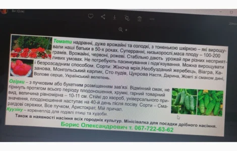 Насіння овочевих культур: кукурудза, помідори, перці та баклажани