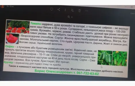 Насіння овочевих культур