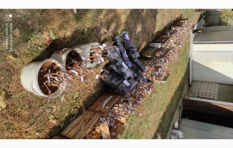 Продам саджанці винограду