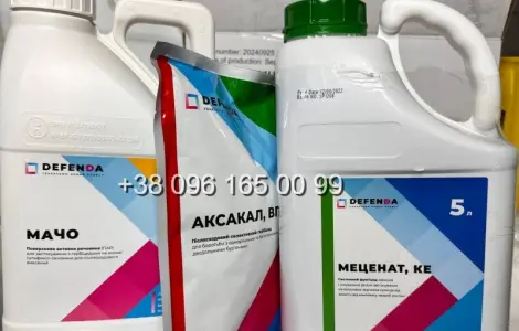 Гербицид на пшеницу Аксакал (флорасулам)
