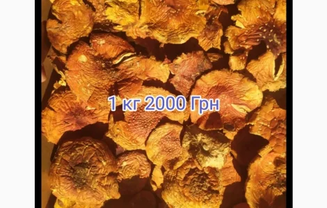 Мухомор красный