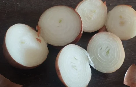 Лук репчатый