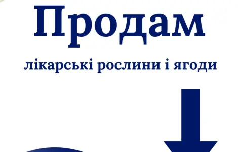 Продам лікарські РОСЛИНИ | ОПТ (лік трави і ягоди)