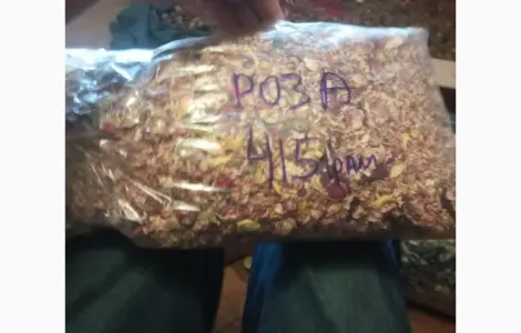 Лекарственные растения
