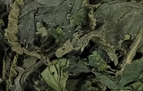 Куплю крапиву