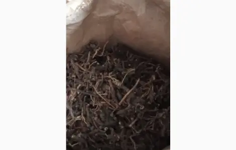 Продам сушений корінь ехінацеї