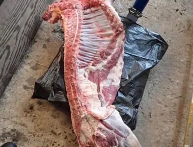 Баранина на продажу: жива вага та тушкою