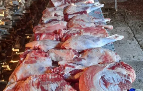 Продается ягнятина с натуральным кормом