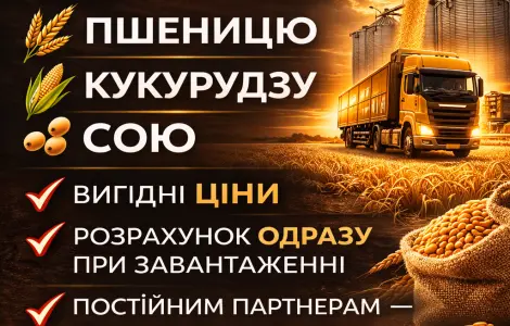 Купуємо зерно з поля та господарства