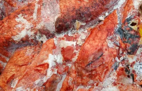 Субпродукты. Лёгкие конские и говяжьи