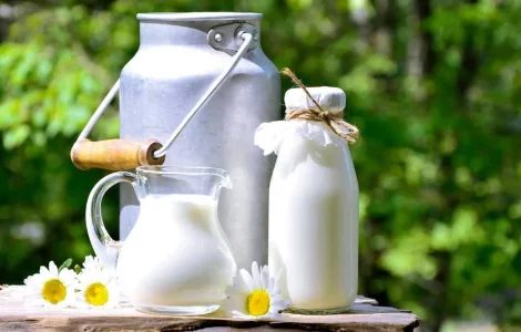 Продается коровье молоко экстра класса