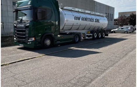 Закупівля пастеризованого молока в великих об'ємах від партнера з Румунії