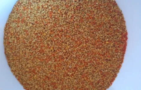 Пчелиная пыльца 2025 года сбора